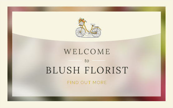 Welcome to Blush Florist